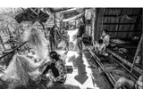 [ẢNH] Thú vị với 